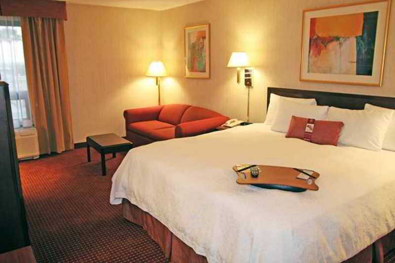 Hampton Inn Monterrey-Airport Room photo